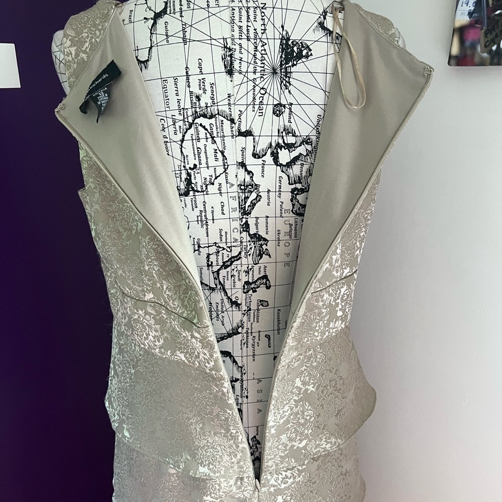 R&M Richards Sleeveless Champagne Colored Formal Dress - Picture 6 of 8
